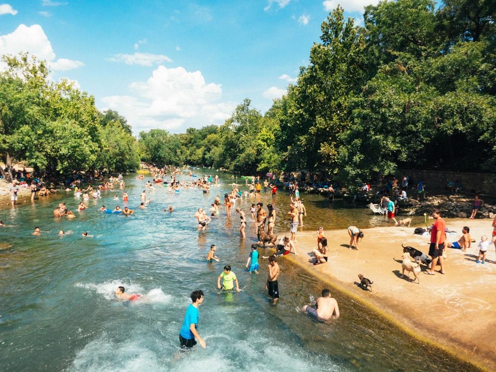 Right behind the Barton Springs pool end fence, people enjoy the springs' refreshing waters with their dogs.